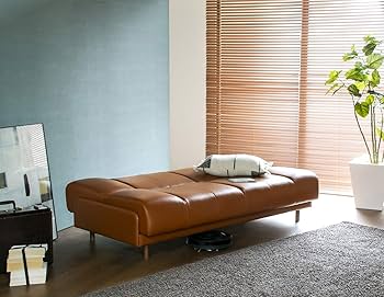 Amazon.co.jp: 【フランスベッド正規品】 ソファベッド テラ